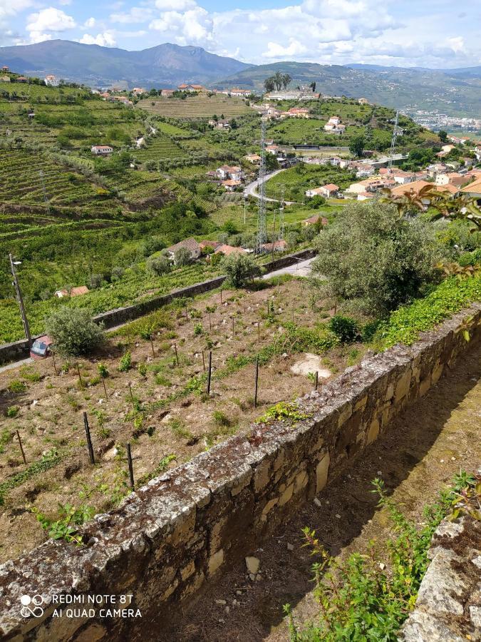 Quinta De Penelas Lamego Εξωτερικό φωτογραφία