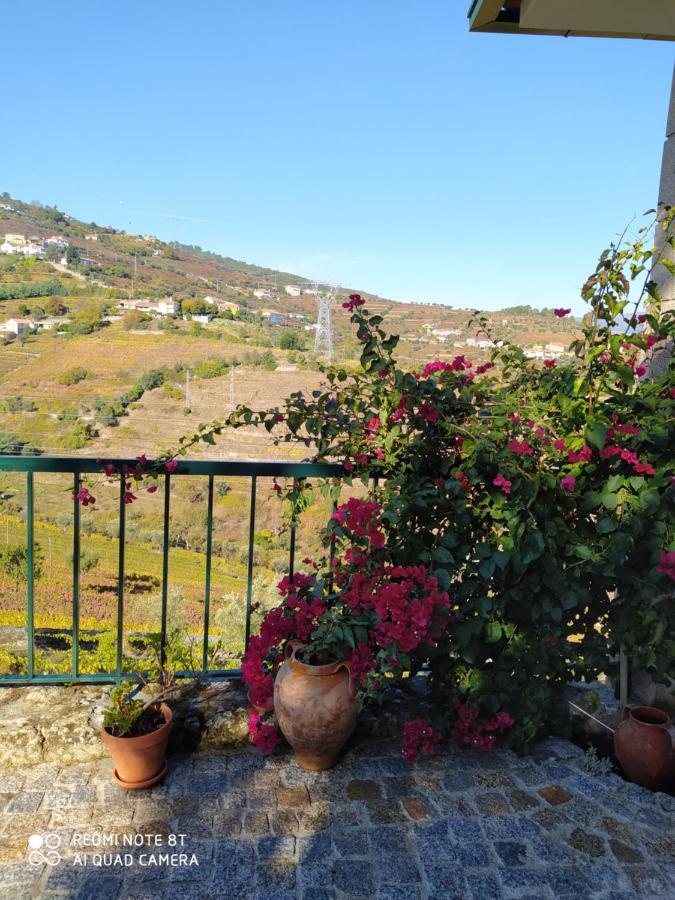 Quinta De Penelas Lamego Εξωτερικό φωτογραφία
