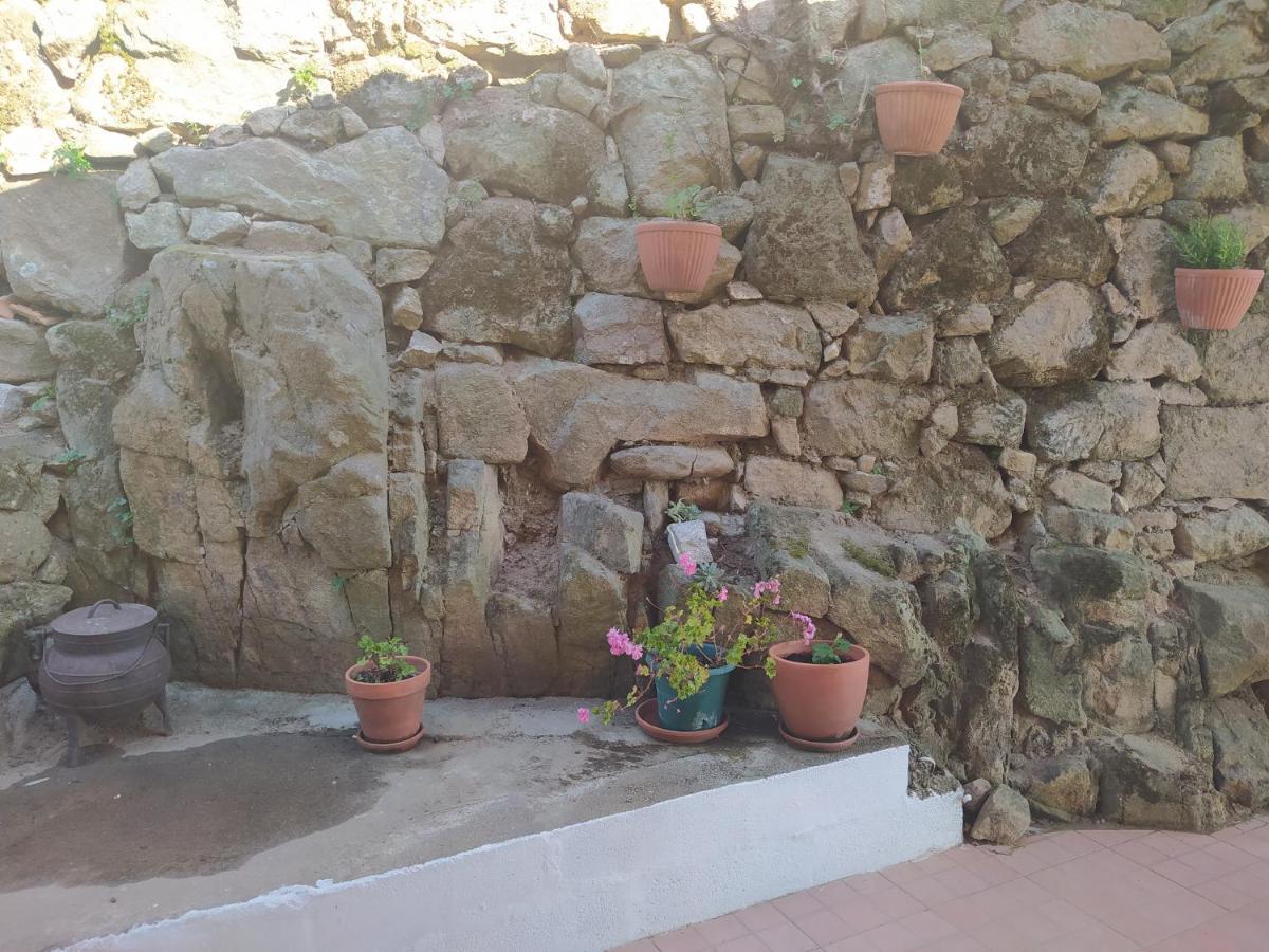 Quinta De Penelas Lamego Εξωτερικό φωτογραφία